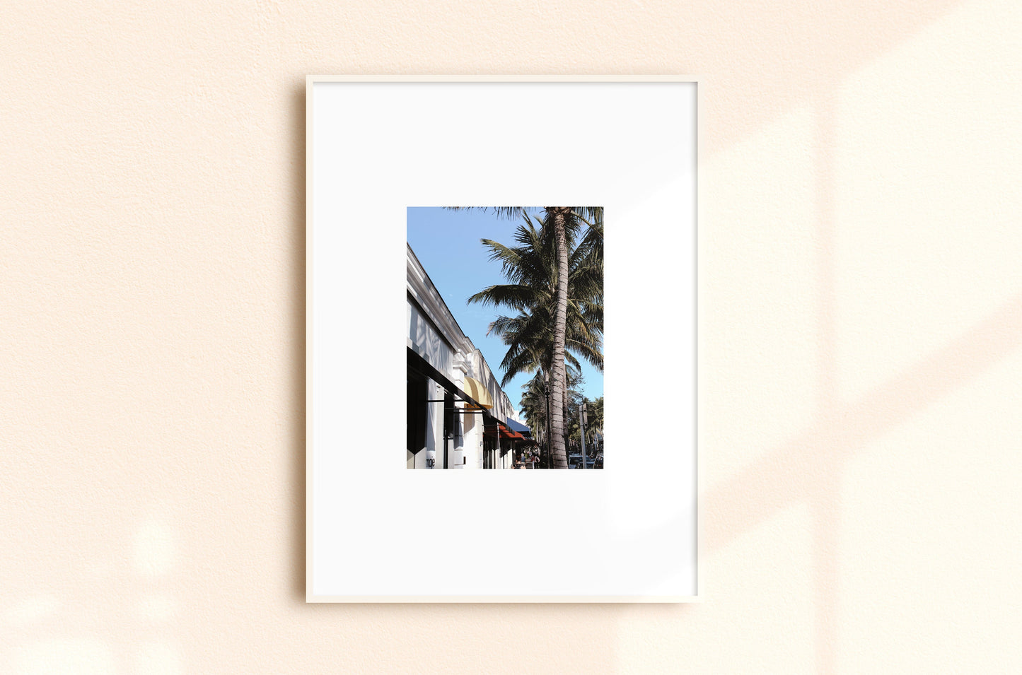 West Palm Beach Canopy