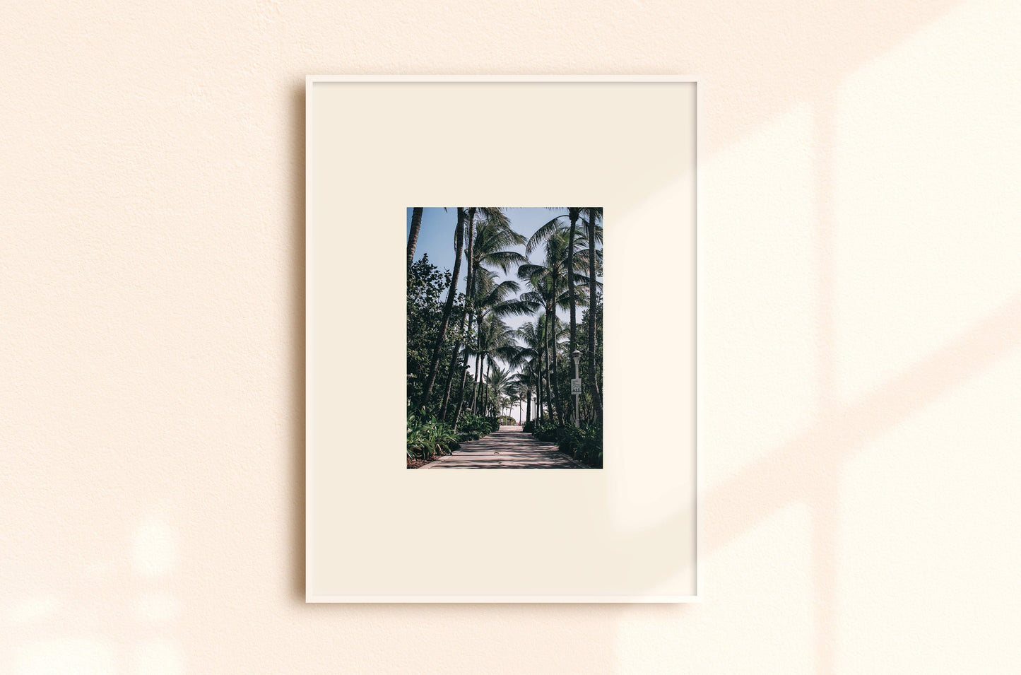 Palms Path
