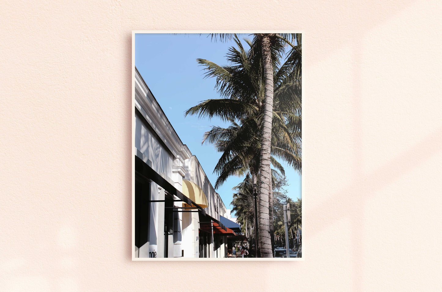 West Palm Beach Canopy