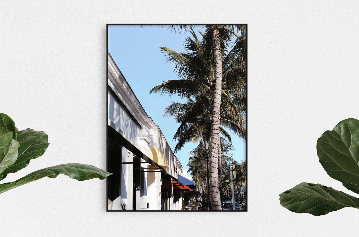 West Palm Beach Canopy
