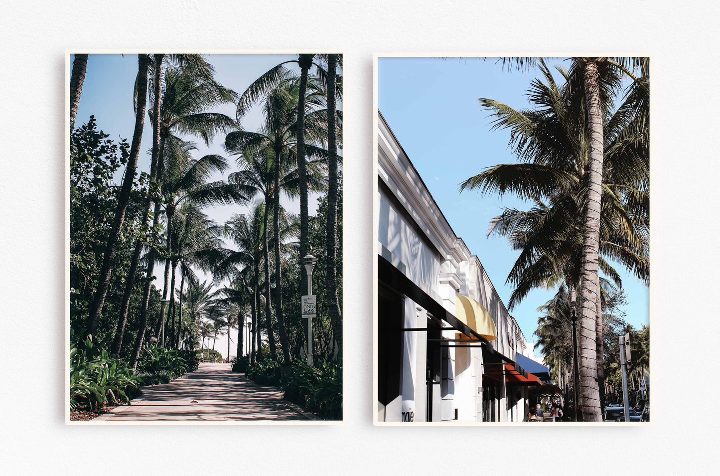 West Palm Beach Canopy