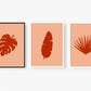 Palm Leaf
