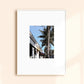West Palm Beach Canopy