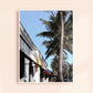 West Palm Beach Canopy