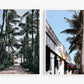 West Palm Beach Canopy